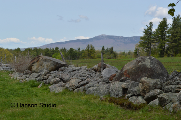 Mt. Monadnock - Witt Hill Rd Stone Wall 2 - Spring